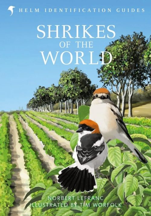 Shrikes of the World (Second Edition)
