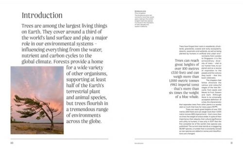 Trees: From Root to Leaf - Image 6