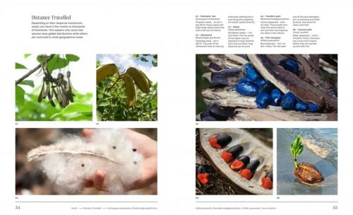 Trees: From Root to Leaf - Image 5