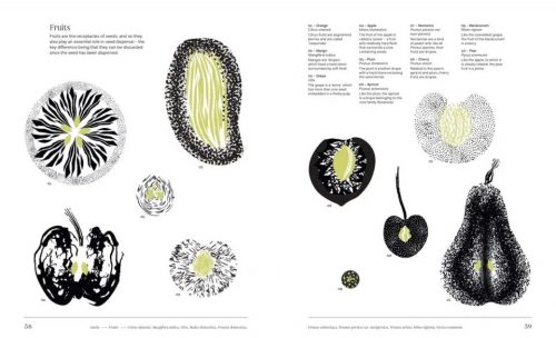 Trees: From Root to Leaf - Image 4