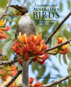 Encounters With Australian Birds: Finding Inspirations from Australia's Amazing Birdlife