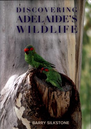 Discovering Adelaide's Wildlife