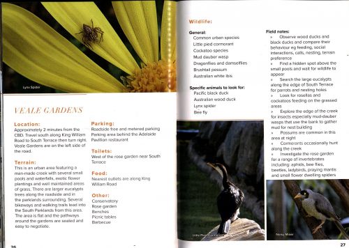 Discovering Adelaide's Wildlife - Image 2