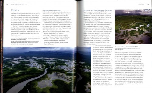 Wetlands of Queensland - Image 6