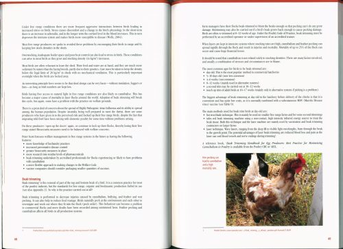 Getting Started in Free Range Poultry - Image 3
