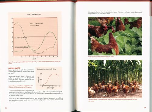 Getting Started in Free Range Poultry - Image 4