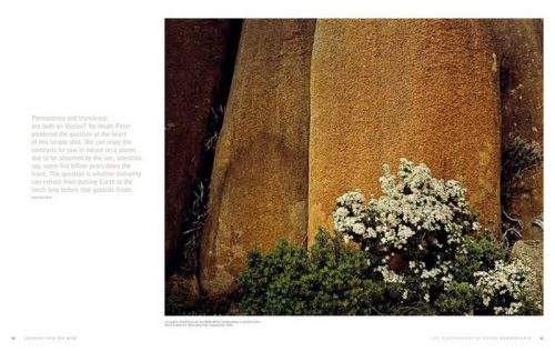 Journeys into the Wild: The Photography of Peter Dombrovskis - Image 2