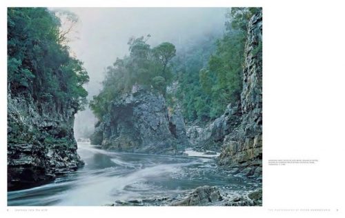Journeys into the Wild: The Photography of Peter Dombrovskis - Image 6