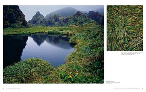 Journeys into the Wild: The Photography of Peter Dombrovskis - Image 3