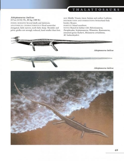 The Princeton Field Guide to Mesozoic Sea Reptiles - Image 3