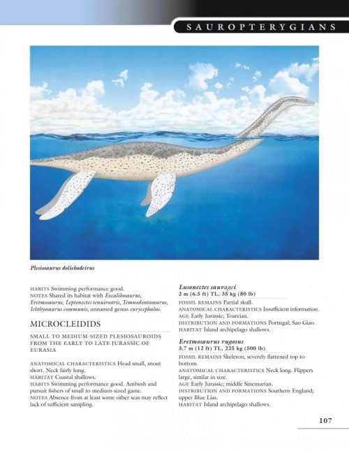 The Princeton Field Guide to Mesozoic Sea Reptiles - Image 2