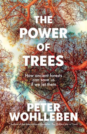 The Power of Trees:  How Ancient Forests Can Save Us If We Let Them