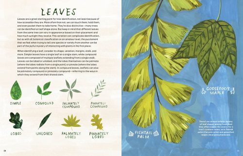 Trees: An Illustrated Celebration - Image 6