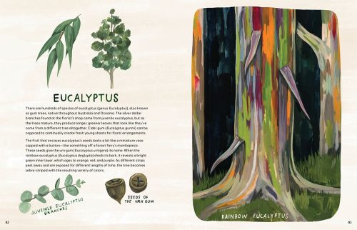 Trees: An Illustrated Celebration - Image 3