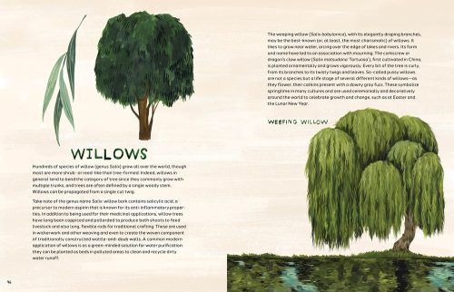 Trees: An Illustrated Celebration - Image 2