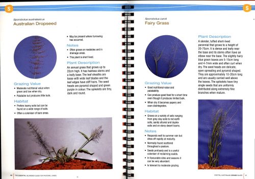 Central Australian Grass Guide:  The Essential Glovebox Guide for Pastoral Lands - Image 3