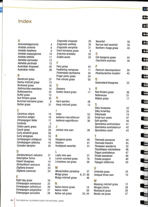 Central Australian Grass Guide:  The Essential Glovebox Guide for Pastoral Lands - Image 4