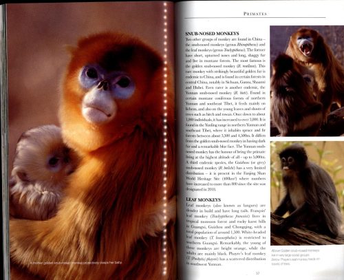 Chinese Wildlife (Second Edition) - Image 2