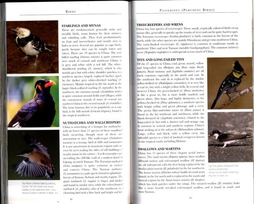 Chinese Wildlife (Second Edition) - Image 3