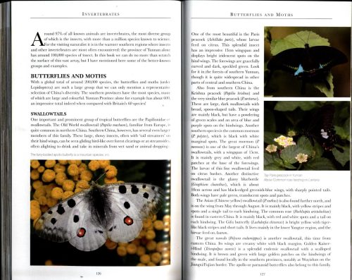 Chinese Wildlife (Second Edition) - Image 4