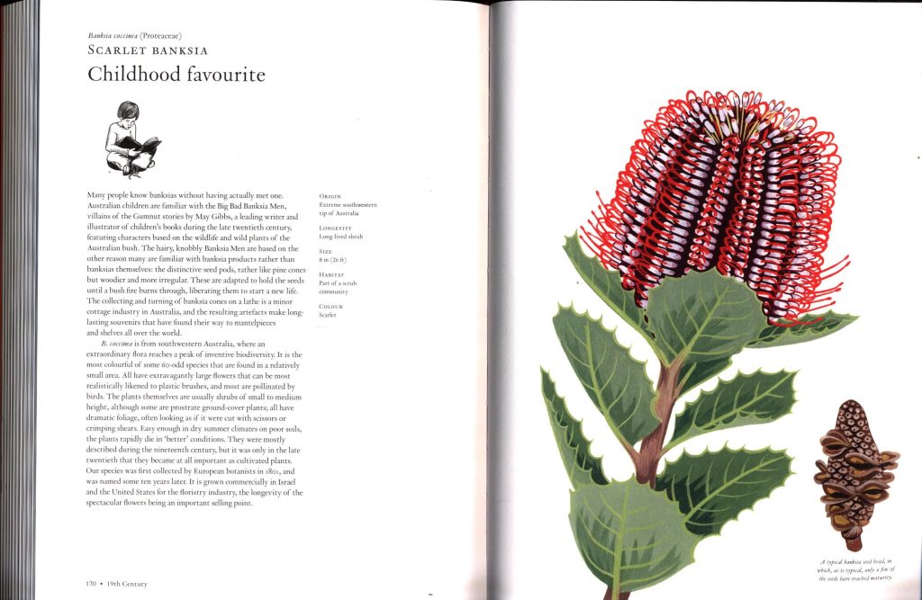 The Story of Flowers And How They Changed the Way We Live - Nokomis