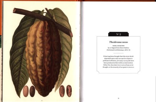 Mexican Plants (Kew Pocketbooks) - Image 4