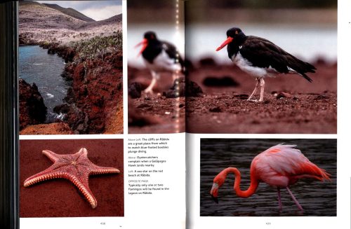 Galápagos: A Natural History (Second Edition) - Image 5