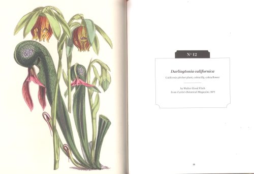 Carnivorous Plants (Kew Pocketbooks) - Image 2