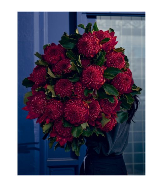 Bush Flowers: Australian Flowers and Foliage for Decoration and Design - Image 5