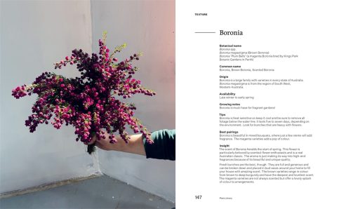 Bush Flowers: Australian Flowers and Foliage for Decoration and Design - Image 3