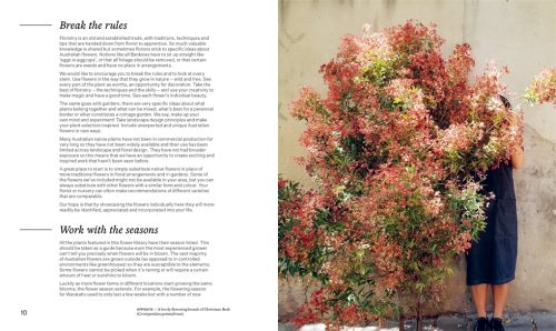 Bush Flowers: Australian Flowers and Foliage for Decoration and Design - Image 2