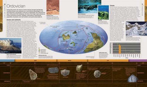 Dinosaurs & Prehistoric Life: The Definitive Visual Guide to Prehistoric Animals - Image 6