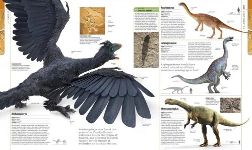 Dinosaurs & Prehistoric Life: The Definitive Visual Guide to Prehistoric Animals - Image 4