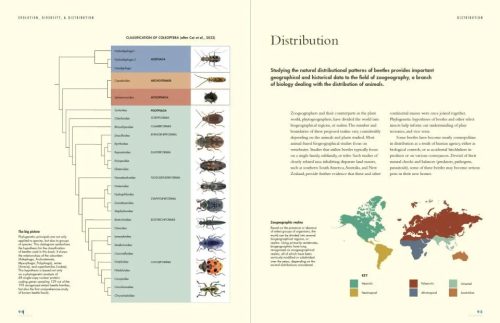 The Lives of Beetles: A Natural History of Coleoptera - Image 2
