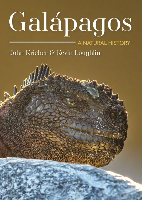 Galápagos: A Natural History (Second Edition)