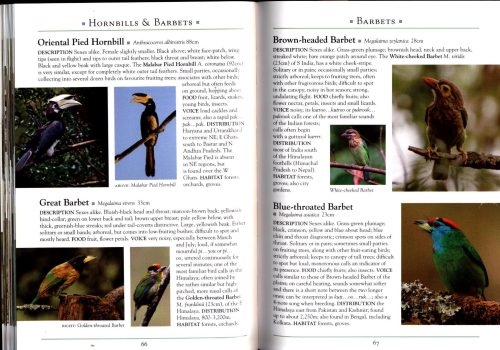 A Naturalist's Guide to the Birds of India: Bangladesh, Bhutan, Nepal, Pakistan and Sri Lanka (Second Edition) - Image 4