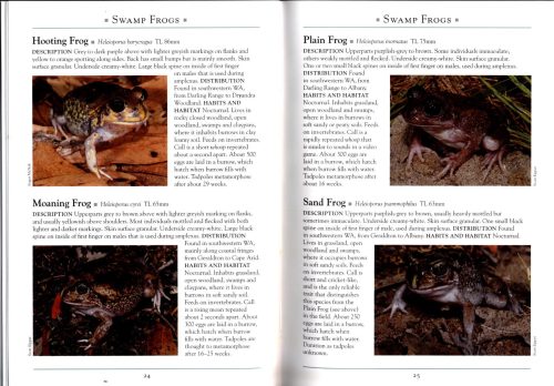 A Naturalist's Guide to the Frogs of Australia (Second Edition) - Image 2