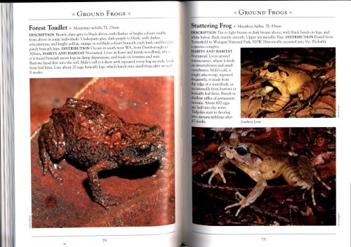 A Naturalist's Guide to the Frogs of Australia (Second Edition) - Image 3