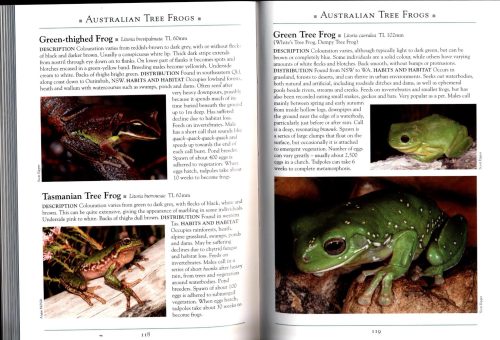A Naturalist's Guide to the Frogs of Australia (Second Edition) - Image 4