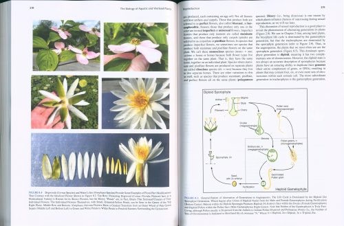 The Biology of Aquatic and Wetland Plants - Image 4
