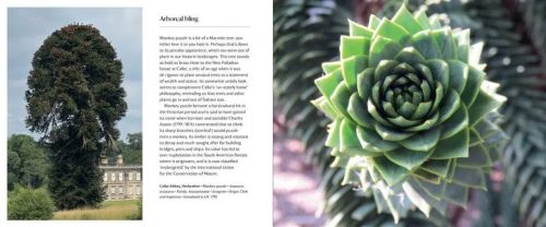 50 Great Trees of the National Trust - Image 4
