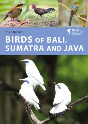 Birds of Bali, Sumatra and Java (Helm Wildlife Guide)