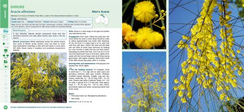 Native Plants for Northern Australian Gardens - Image 4