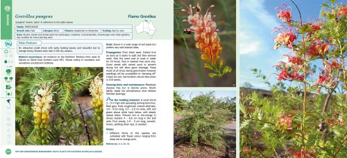 Native Plants for Northern Australian Gardens - Image 5