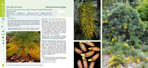 Native Plants for Northern Australian Gardens - Image 7