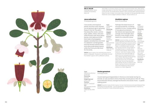 What Gardeners Grow: 600 Plants  Chosen by the World's Greatest Plantspeople - Image 2