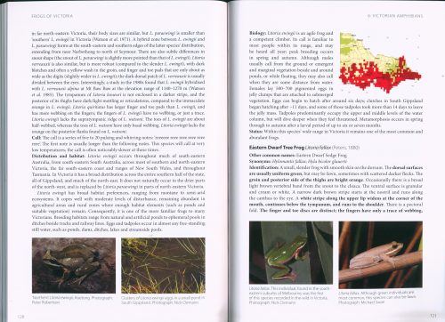 Frogs of Victoria:  A Guide to Identification, Ecology and Conservation - Image 4