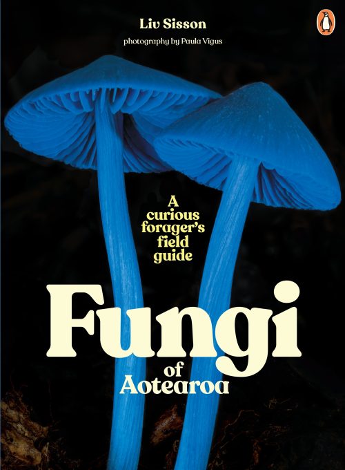 Fungi of Aotearoa: A Curious Forager's Field Guide