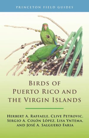 Birds of Puerto Rico and the Virgin Islands (Third Edition)