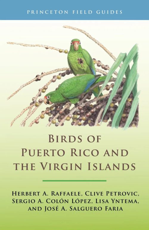 Birds of Puerto Rico and the Virgin Islands (Third Edition)